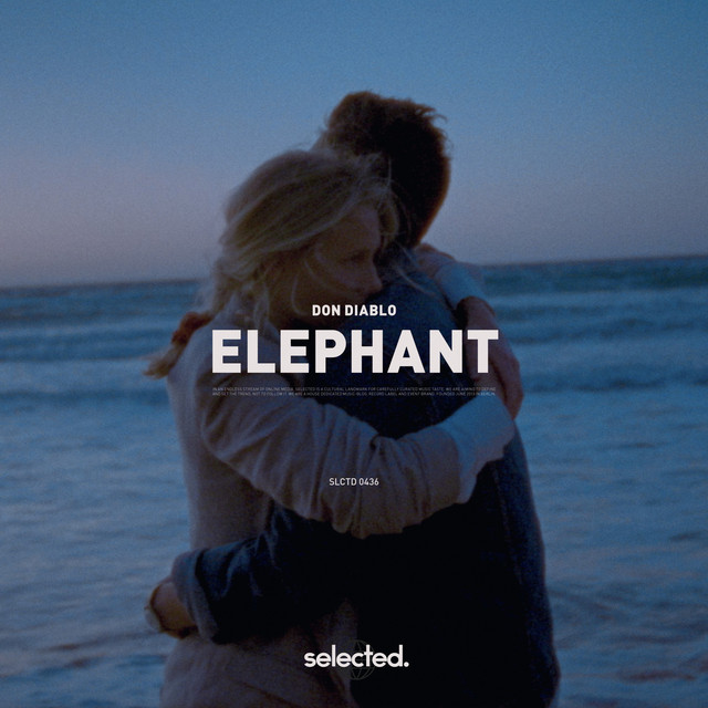 Elephant artwork